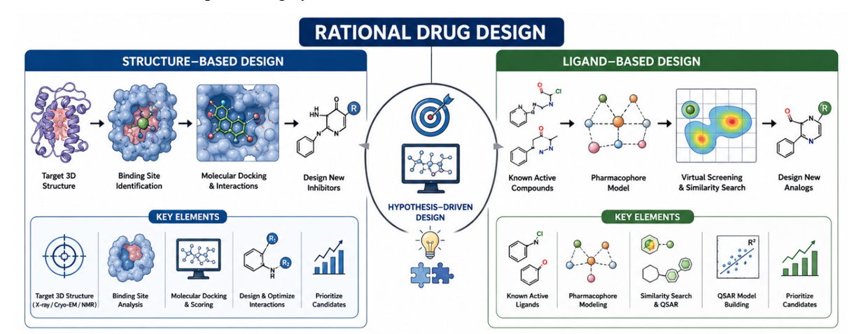 Rational Drug Design: Structure-Based Design (target 3D structure, binding site identification, molecular docking and interactions, design new inhibitors) and Ligand-Based Design (known active compounds, pharmacophore model, virtual screening and similarity search, design new analogs), unified by hypothesis-driven design